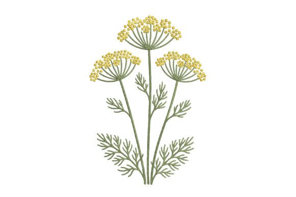 Umbel Flower Embroidery Design Review